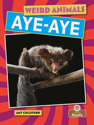 cover image of Aye-aye